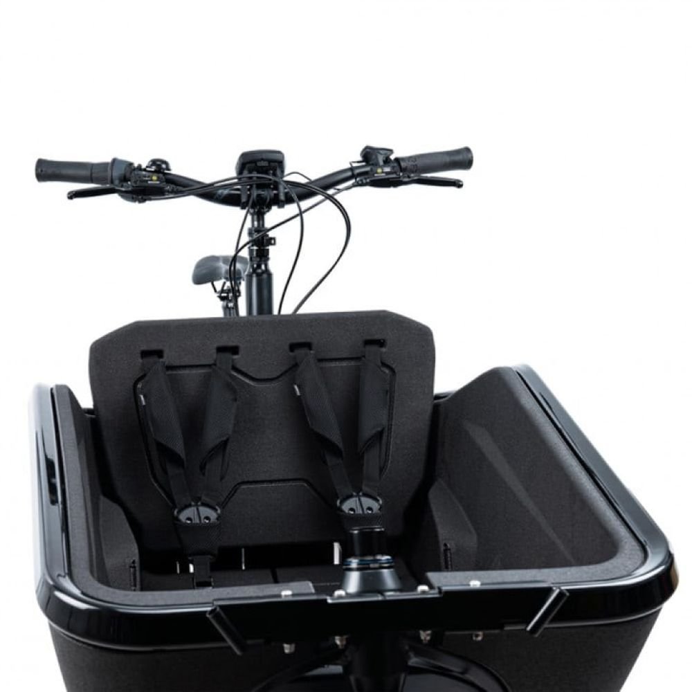 Cube Sicherheitsgurt CARGO black