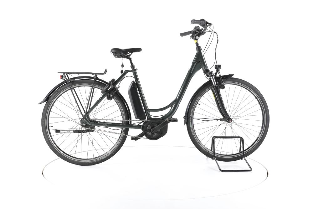 Raleigh Jersey Plus City E-Bike Tiefeinsteiger