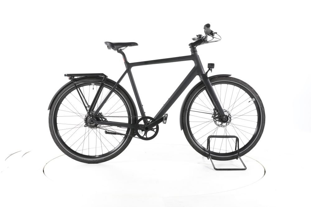 Rose Black Lava 3 2024